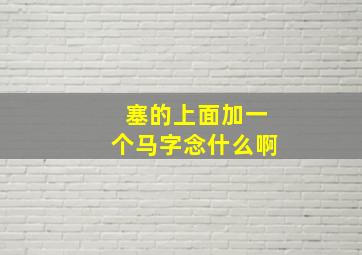 塞的上面加一个马字念什么啊