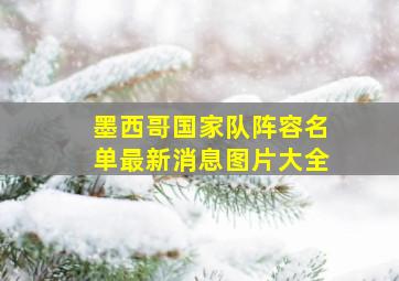 墨西哥国家队阵容名单最新消息图片大全