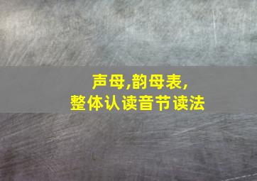 声母,韵母表,整体认读音节读法