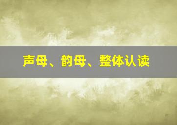 声母、韵母、整体认读