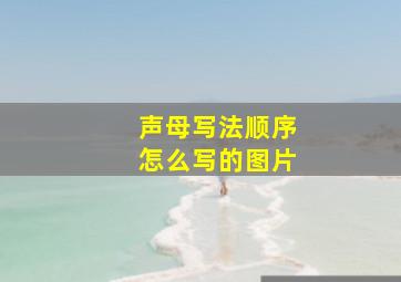 声母写法顺序怎么写的图片