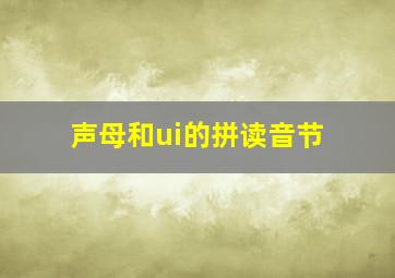 声母和ui的拼读音节