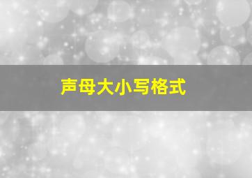 声母大小写格式