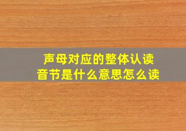 声母对应的整体认读音节是什么意思怎么读