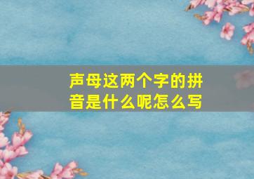 声母这两个字的拼音是什么呢怎么写