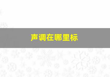 声调在哪里标