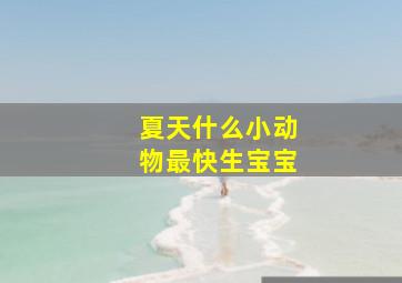 夏天什么小动物最快生宝宝