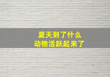 夏天到了什么动物活跃起来了