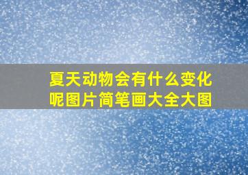 夏天动物会有什么变化呢图片简笔画大全大图