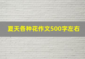 夏天各种花作文500字左右