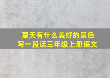 夏天有什么美好的景色写一段话三年级上册语文