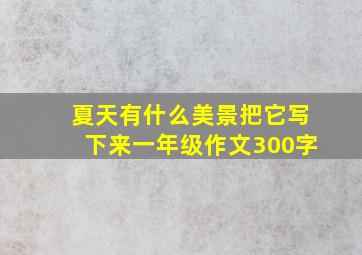 夏天有什么美景把它写下来一年级作文300字