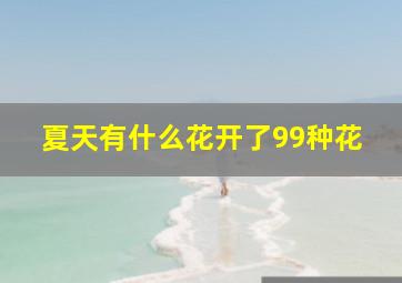 夏天有什么花开了99种花