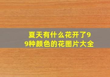 夏天有什么花开了99种颜色的花图片大全