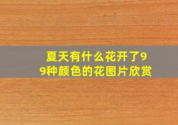 夏天有什么花开了99种颜色的花图片欣赏