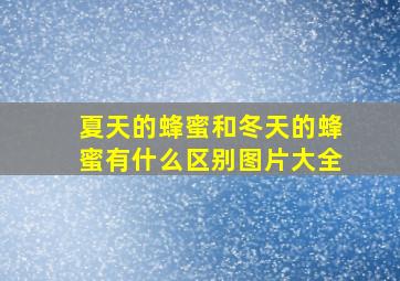 夏天的蜂蜜和冬天的蜂蜜有什么区别图片大全