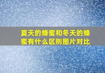 夏天的蜂蜜和冬天的蜂蜜有什么区别图片对比