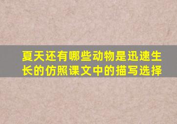 夏天还有哪些动物是迅速生长的仿照课文中的描写选择