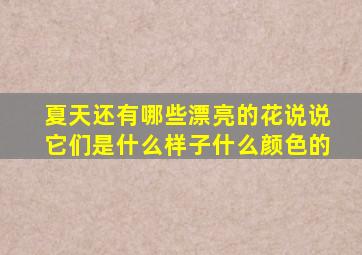 夏天还有哪些漂亮的花说说它们是什么样子什么颜色的