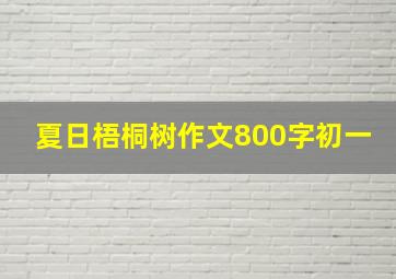 夏日梧桐树作文800字初一