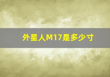 外星人M17是多少寸