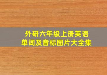 外研六年级上册英语单词及音标图片大全集