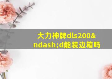 大力神牌dls200–d能装边箱吗