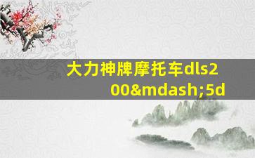 大力神牌摩托车dls200—5d