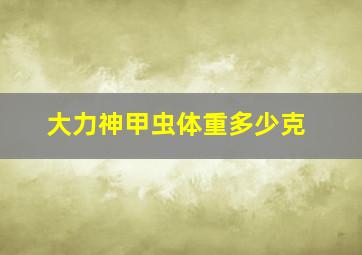 大力神甲虫体重多少克