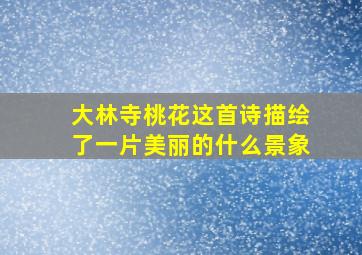 大林寺桃花这首诗描绘了一片美丽的什么景象