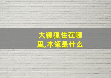 大猩猩住在哪里,本领是什么