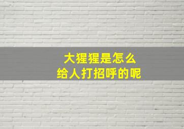 大猩猩是怎么给人打招呼的呢