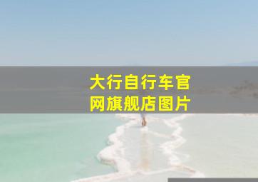 大行自行车官网旗舰店图片