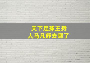 天下足球主持人马凡舒去哪了