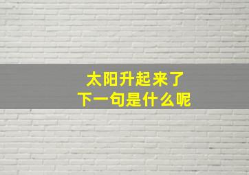 太阳升起来了下一句是什么呢