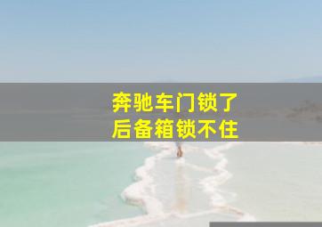 奔驰车门锁了后备箱锁不住