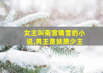 女主叫南宫晴雪的小说,男主是妖族少主