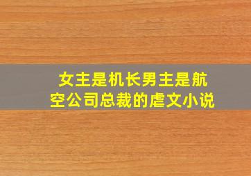 女主是机长男主是航空公司总裁的虐文小说