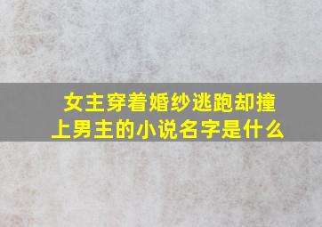 女主穿着婚纱逃跑却撞上男主的小说名字是什么