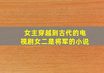 女主穿越到古代的电视剧女二是将军的小说