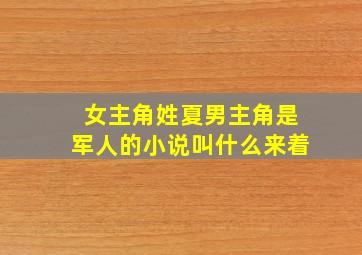 女主角姓夏男主角是军人的小说叫什么来着