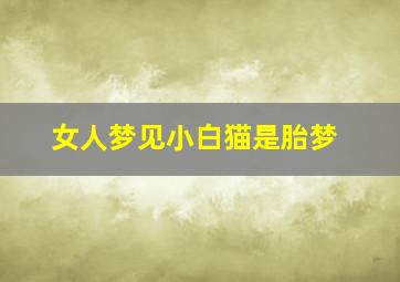 女人梦见小白猫是胎梦