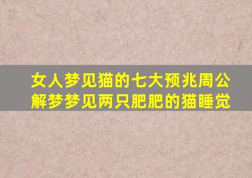 女人梦见猫的七大预兆周公解梦梦见两只肥肥的猫睡觉