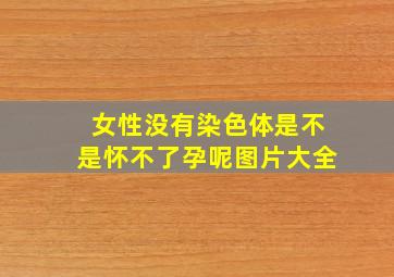 女性没有染色体是不是怀不了孕呢图片大全