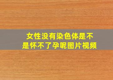 女性没有染色体是不是怀不了孕呢图片视频