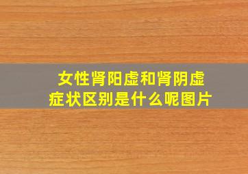 女性肾阳虚和肾阴虚症状区别是什么呢图片