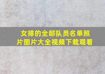 女排的全部队员名单照片图片大全视频下载观看