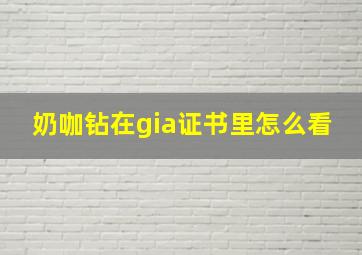 奶咖钻在gia证书里怎么看