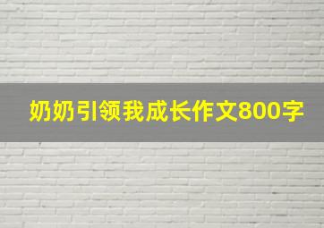 奶奶引领我成长作文800字