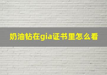 奶油钻在gia证书里怎么看